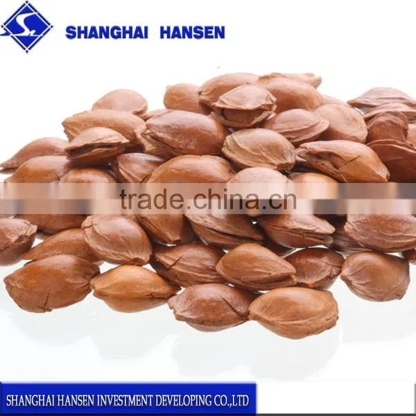 Import Almond Import Agent & Purchasing Agent