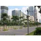 Three Phase AC Maglev Wind Generator Solar And Wind Powered Street Lights