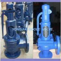 DIN Standard Spring Loaded Pressure Safety Valve photo-2
