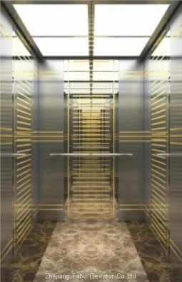 Competitive Price Modern Home Used Elevators photo-3
