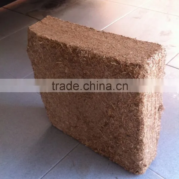 Best Price of Pressed Unfermented Bagasse in Block