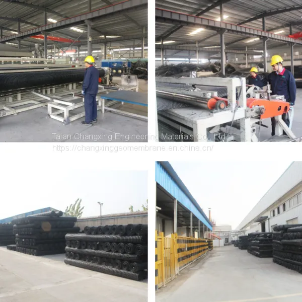 Earthing Products Plastic PP Biaxial Geogrid Price for Road Soil Stabilizer photo-4