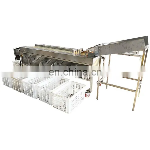 Fruit and Vegetable Sorting and Grading Machine,products Sizer,fruit Sorting and Grading Machine. photo-3