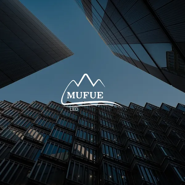 Shenzhen Mufue Technology Co., Ltd. company overview - view 4