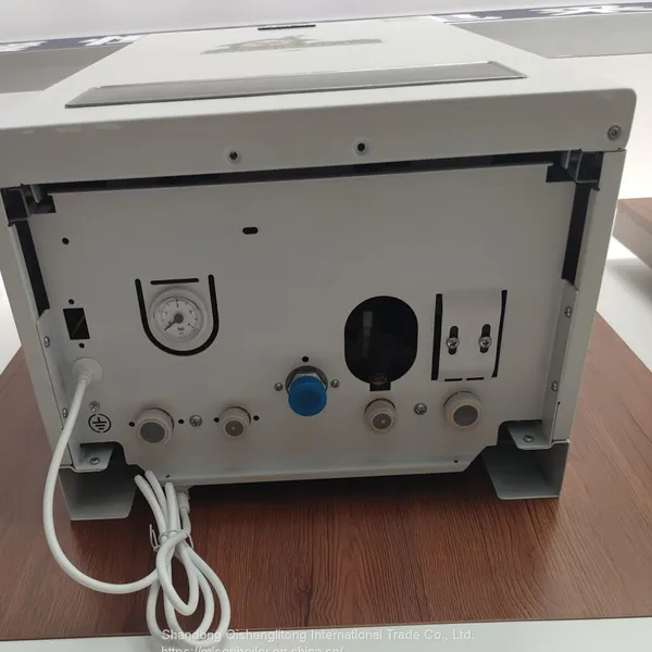 Small Water Boiler Tankless Wall Mounted Natural Gas Water Heater Natural Exhaust Lpg Gas Geyser Instant Ng Water Heater photo-3