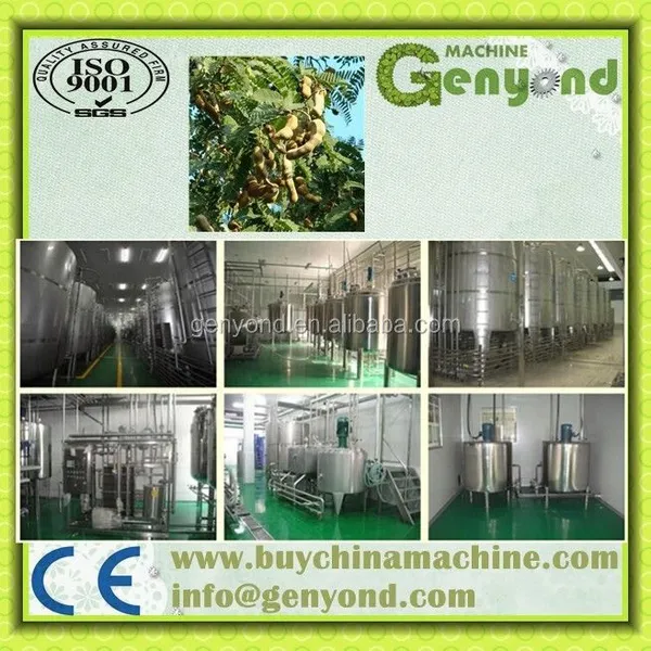Complete Tamarind Juice Production Line / Tamarind Juicing Machine photo-6
