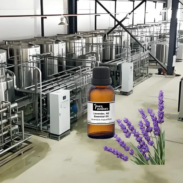 Plant Raw Material Crude Extract Membrane Separation Equipment photo-4