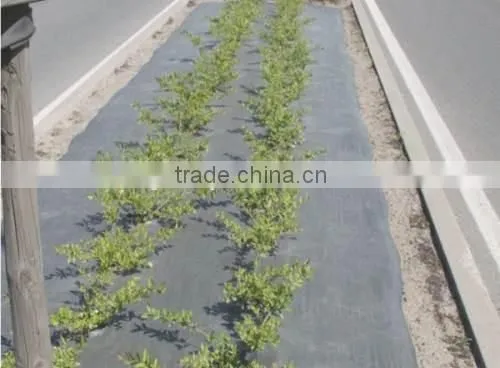 China Nonwoven Anti Weed Mat photo-5