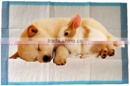 Disposable Pet Training Pad, Pet Pee Pad