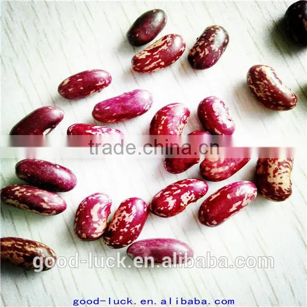 Chinese Purple Speckled Kidney Beans photo-2