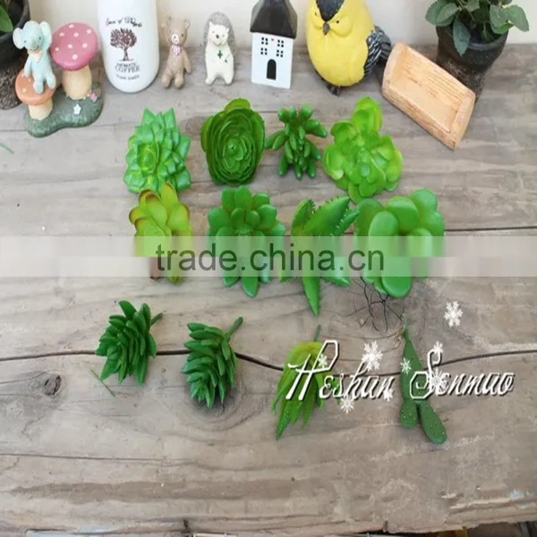 Natural Look Wholesale Price Artificial Tropical Plant Plastic Material Succulent Plant for Green Wall