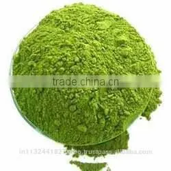 Moringa Leaf Powder in India/common Cultivation Moringa Leaves/organic Cultivation Drumstick Leaves Exporters photo-3