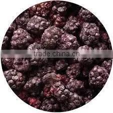 IQF Blackberry With Good Quality for Sale photo-6