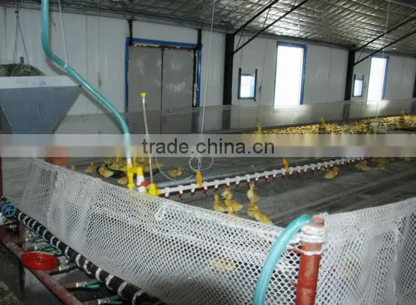 Plastic flat net for duck