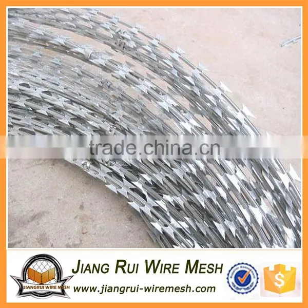 Low Price Concertina Hot Dipped Galvanized Razor Barbed Wire photo-5
