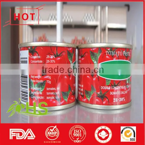 Tomato Paste of Best Quality photo-4