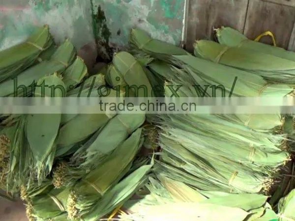 Dry Bamboo Leaf photo-4