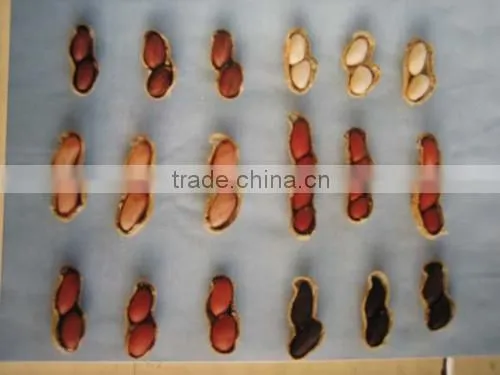 Competitive Price Of White/Red/Pink/Black Peanut Seed For Sale/Planting photo-6