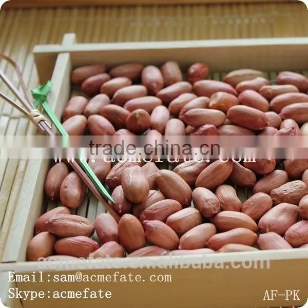Chinese HACCP Certification Long Type Blanched Red Skin Peanut Kernels photo-5