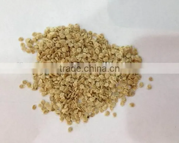 Hybrid Tomato Seeds Best Quality for Plant photo-2