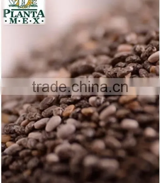 Chia Seed