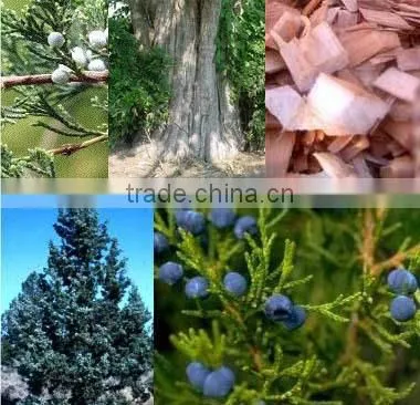 Cedar Wood Oil Double Distilled Bulk Quantity photo-2