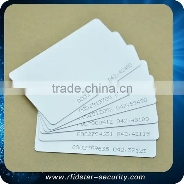 125KHz RFID EM ID Smart Plastic Mini Card photo-2