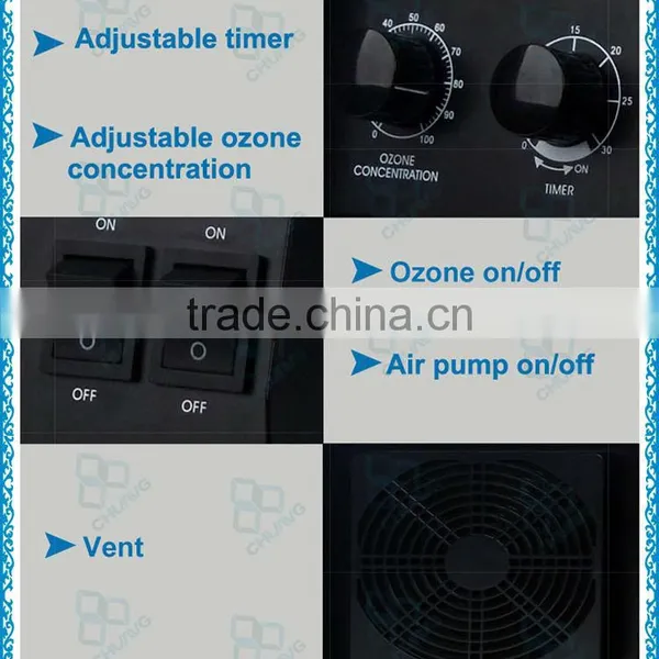 CE 3g 5g 6g 7g 220V CH-BP Portable Ozon Generator / Ozon Luftreiniger photo-4