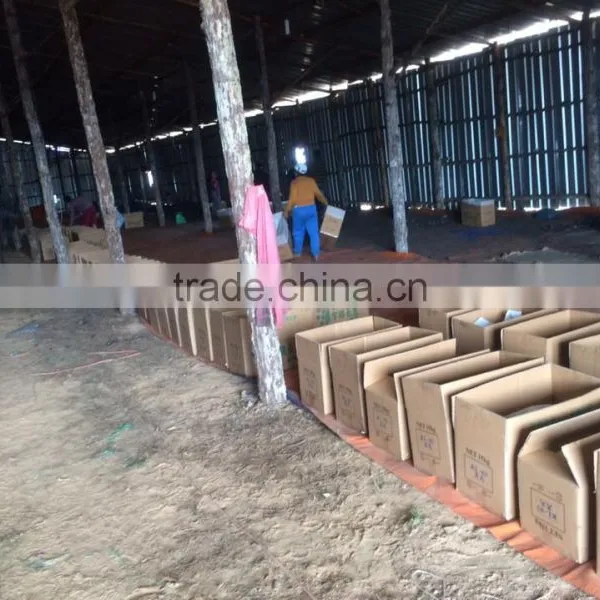Viet Nam Pure Natural 100% photo-6