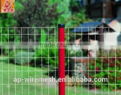Wholesale!!! Holland Wire Mesh / Dutch Wire Mesh / Euro Fence (factory Price and Good Quality)