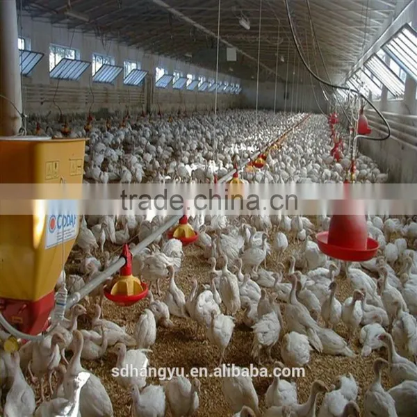 Poultry Farm Equipment For Chicken Feeder photo-3