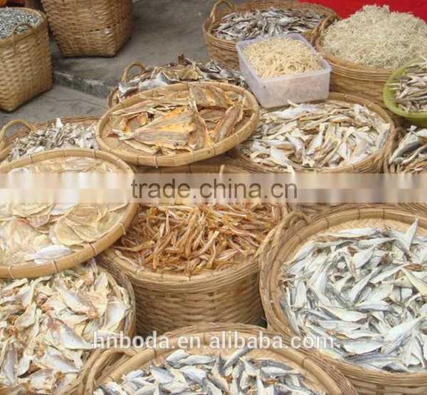 Tunnel Conveyor Belt Sterilizer Seaweed Dryer photo-3