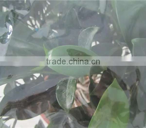 100% New Material UV Resistant Clear Plastic Protective Film for Agricultural photo-3