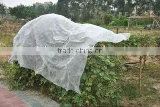 China Supplier pp Spunbond Nonwoven photo-2