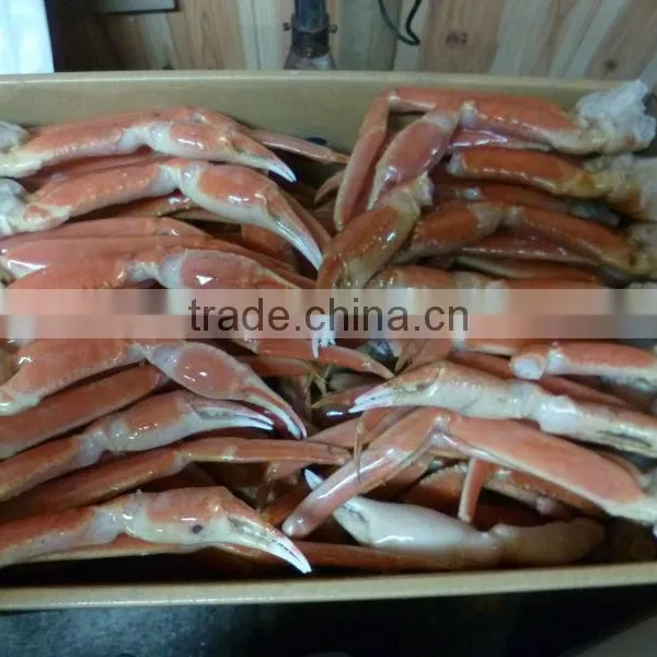 Best-selling All Types of Seafood , Crab , Scallop , Seacucumber photo-2