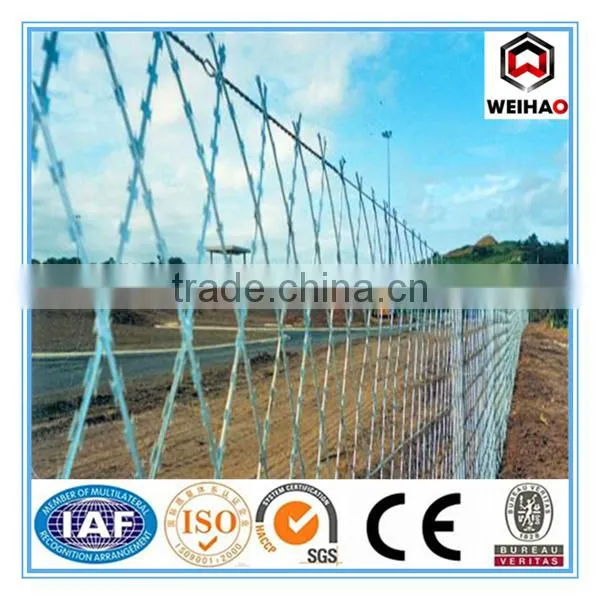 Carton Coil Razor Wire for Industry photo-2