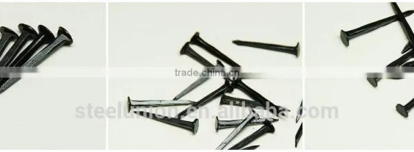 Fine Blue Shoe Tack Nails/three Star Brand Shoe Tack Naisl / Shoe Tack photo-4