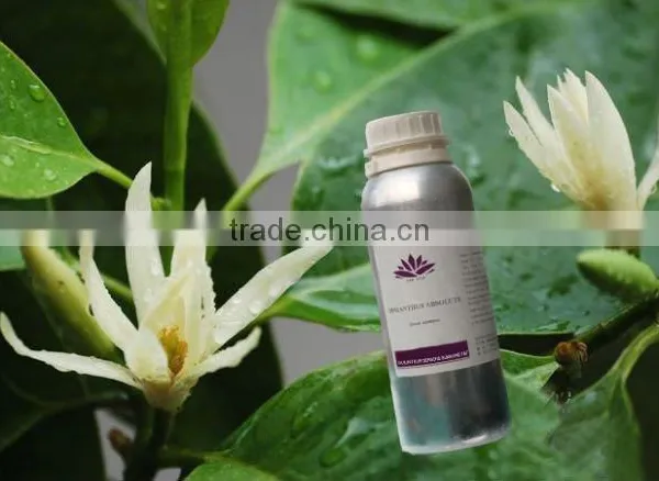 C10H18O Michelia Flower Oil(Magnolia Flower Oil)pure Essential Oil photo-3