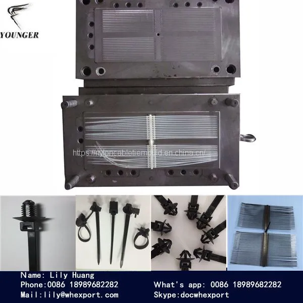 Automotive Nylon Cable Tie Injection Mould photo-3