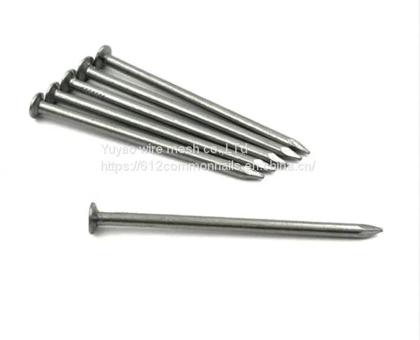 Q195 Polishing Common Nail From YuYao Factory photo-3