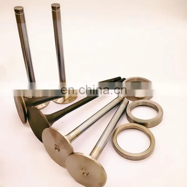 China Engine Parts Diesel Intake Exhaust Engine Valve Guide Seat Insert for Sinotruk HOWO Truck Wd615 61560050042 VG1560051001 photo-2