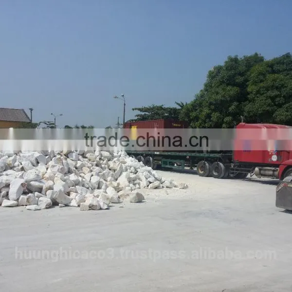 Fine CACO3/limestone Powder for Painting From VIet Nam_GCC_98% Whiteness Min photo-3
