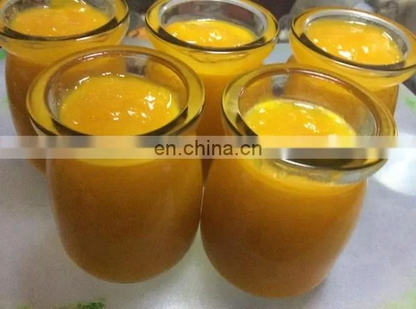 Hot Sale Single/Dual/Three Channel Fruit Pulper Machine Fruit Pulp Juice Making Machine Mango Pulp Making Machine Pulper Price photo-5