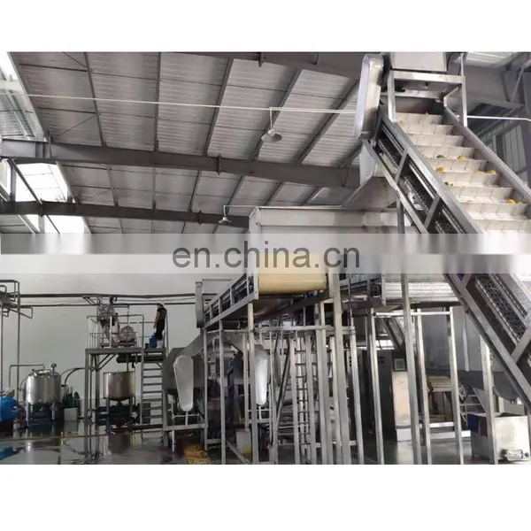 Pumpkin Processing Plant Fruit Beverage Making Machine photo-3