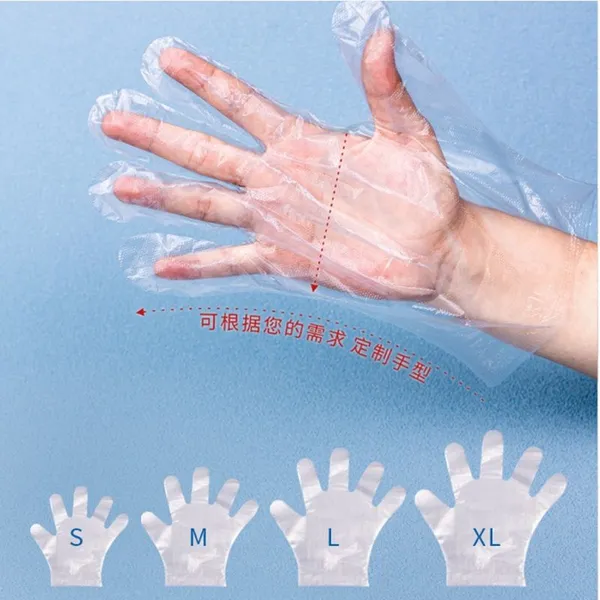 Disposable PE Gloves photo-5