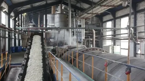 Genyond Sugar Beet Processing Line photo-4