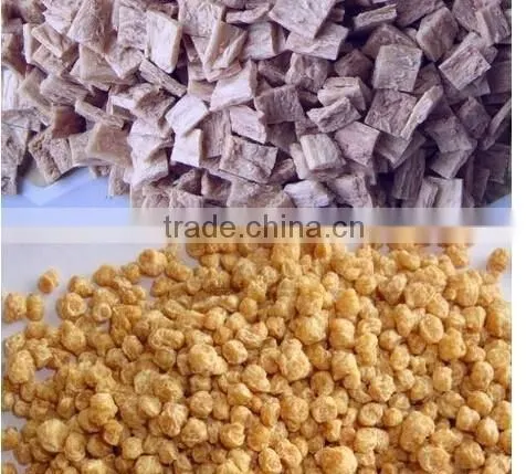 Full Automatic Textured Vegetarian Soya Beans Protein Process Line photo-4