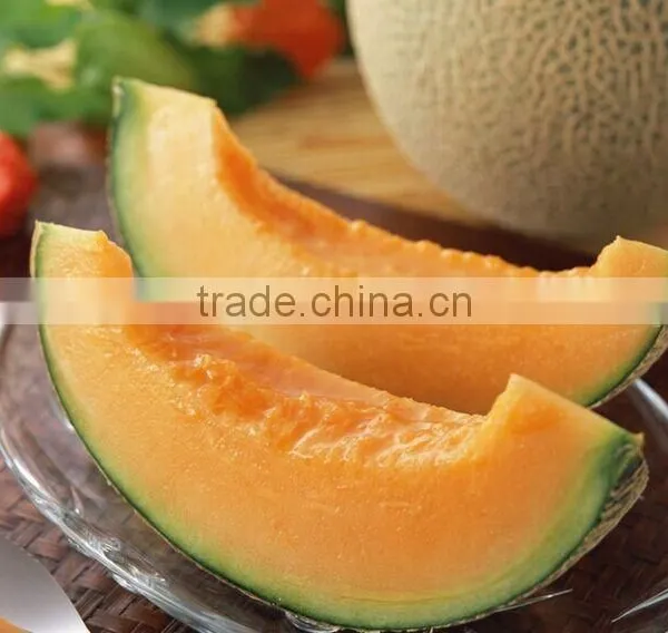 Fresh Melon Sweet Melon Price photo-2