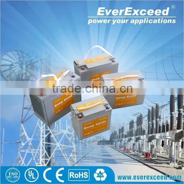 EverExceed GEL Sealed Lead Acid Battery