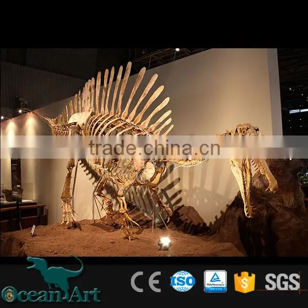 OA-DS-16051301 Replicated Dinosaur Fossils photo-3